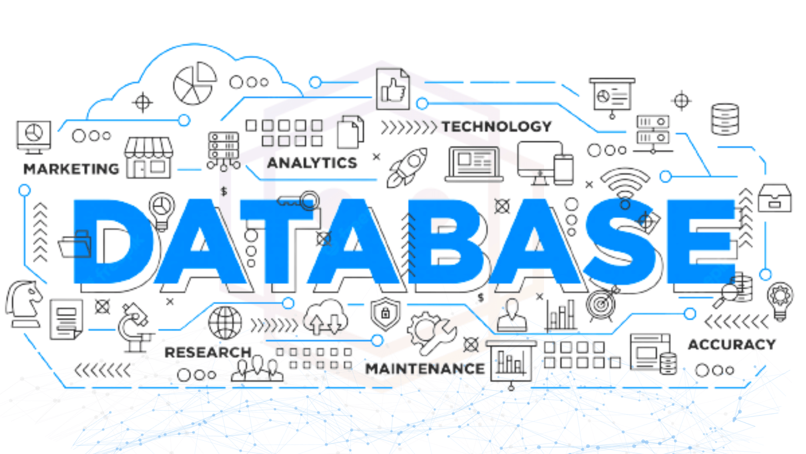 Base de Datos